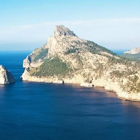 Willa Joan Toni By *